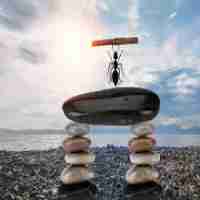 tweak injector插﻿件‍